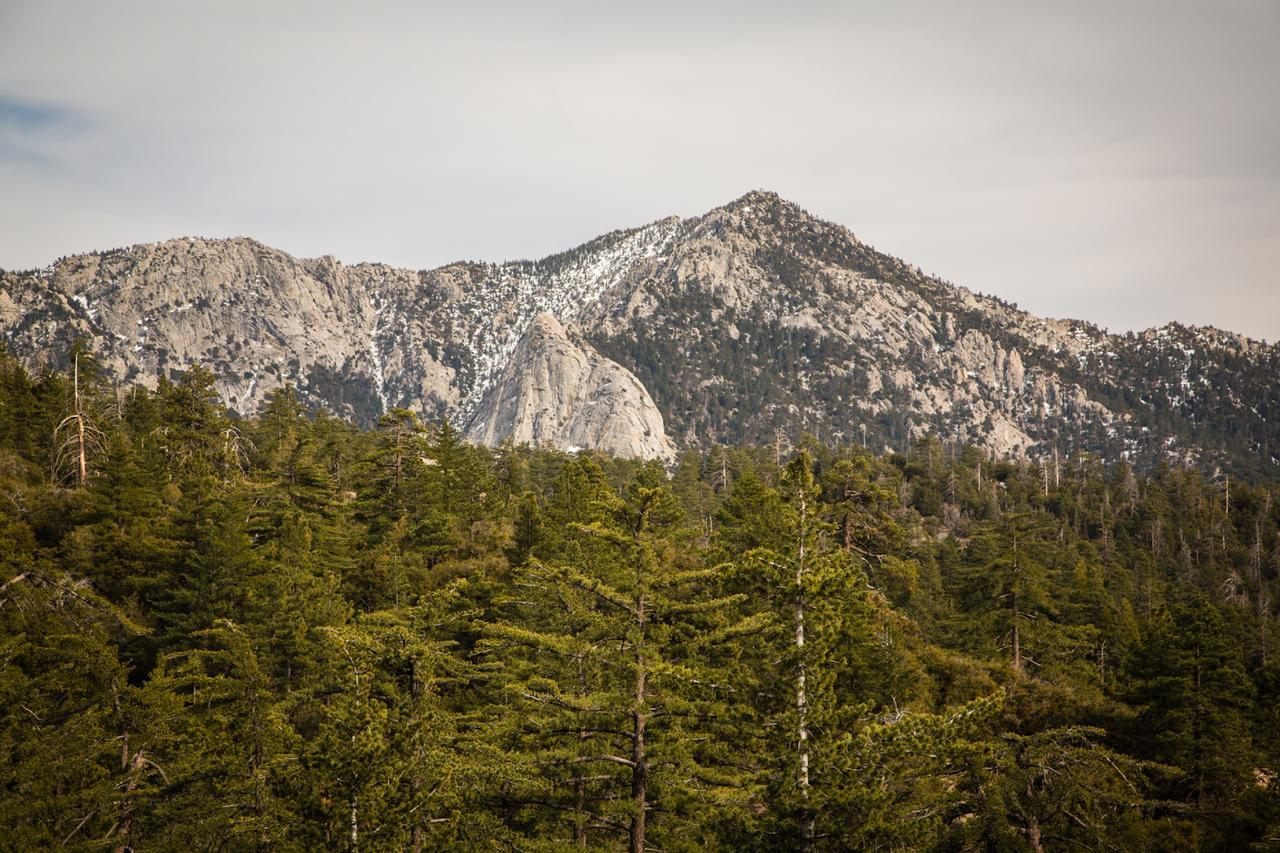 Idyllwild Camping Resort Cabin 外观 照片